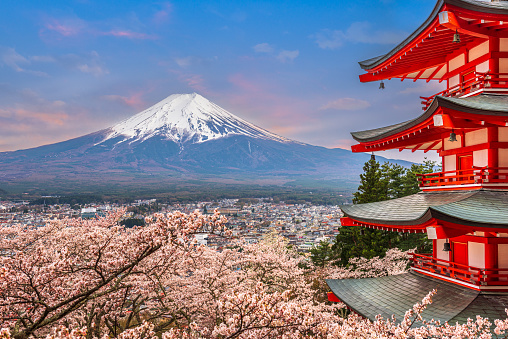 Fujiyoshida, Japan -  April 18, 2017: Chureito Pagoda and Mt. Fuji in the spring with cherry blossoms.