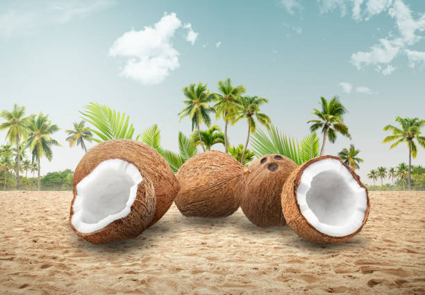 3d illustration of island paradise isolated. beach mock up.