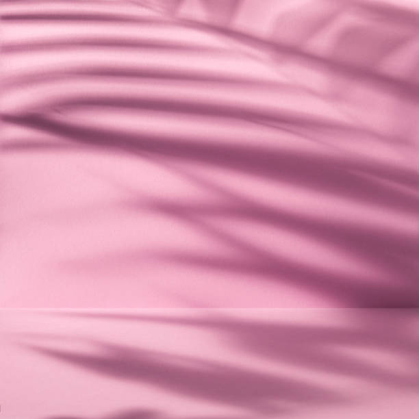 istock Pink abstract background with palm leaves shadow 1477863663