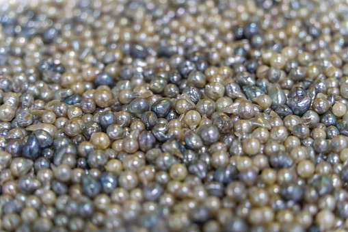 Pile of pearls on the white background. Vietnamese pearls in Ha Long city, Quang Ninh province, Vietnam. Selective focus.