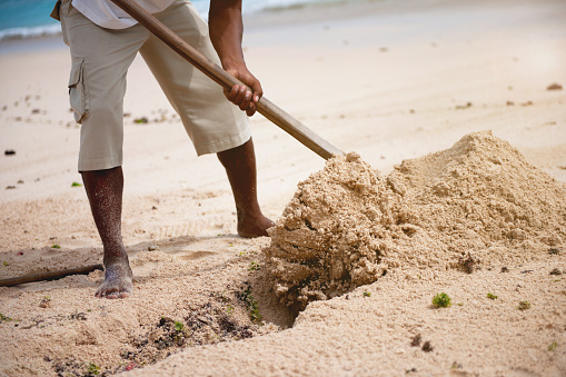 Low section of man cleaning seaweed on a sandy beach. Pollution problem rises with climate . Copy space