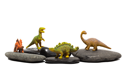 Some toy dinosaurs