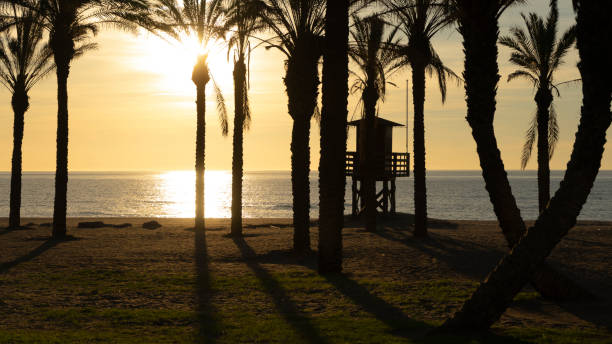 istock lifeguard tower at dawn on a wonderful day 1477873055