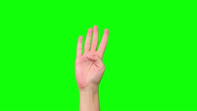 4K hand counting on green screen