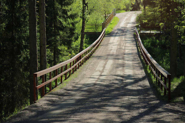 Modern wide wooden bridge in deep summer forest, natural landscape. Background.