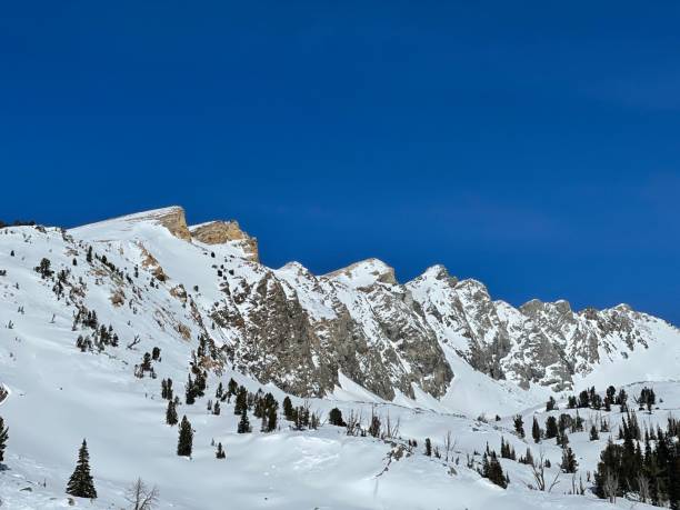 istock Winter in the Sawtooth Mountains 1477876848