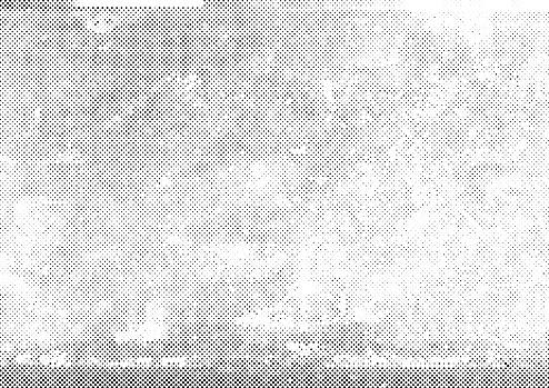 Black halftone grunge circles pattern vector illustration on white background