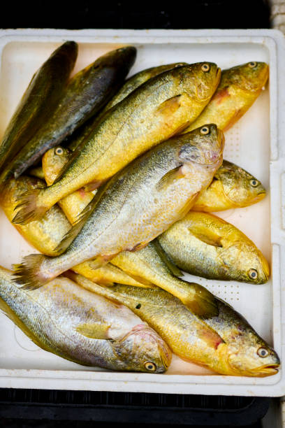 istock Traditional fish market in Taiwan. 1477880767