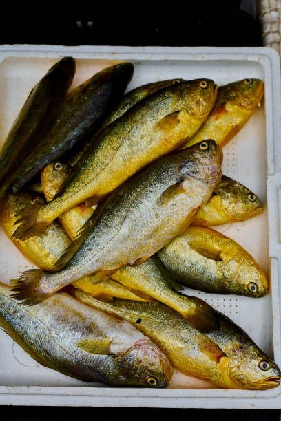 istock Traditional fish market in Taiwan. 1477880769