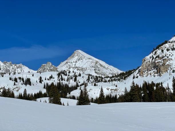 istock Winter in the Sawtooth Mountains 1477881276
