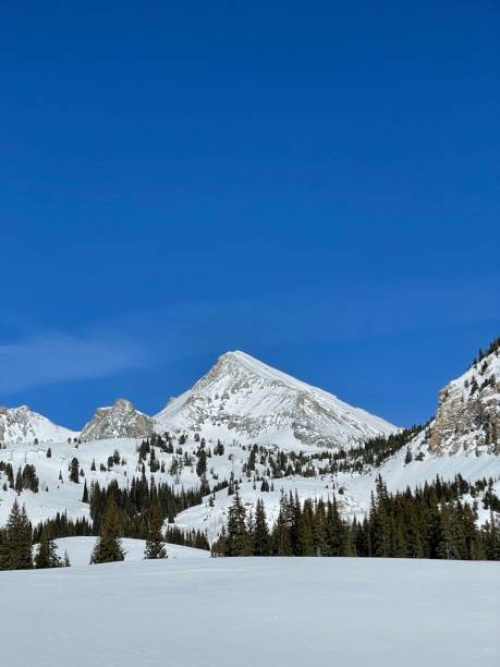 istock Winter in the Sawtooth Mountains 1477883277