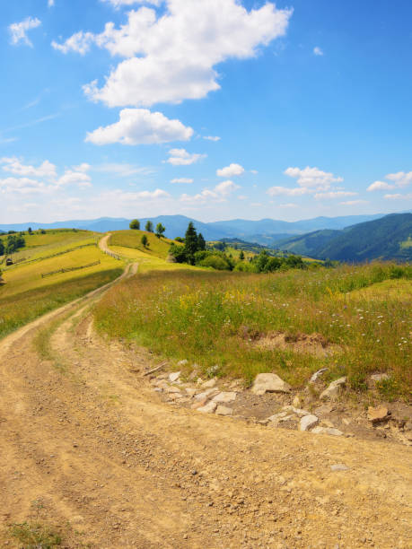 istock trail through alpine meadows and pastures 1477884685