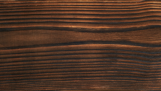 A fragment of a hardwood.