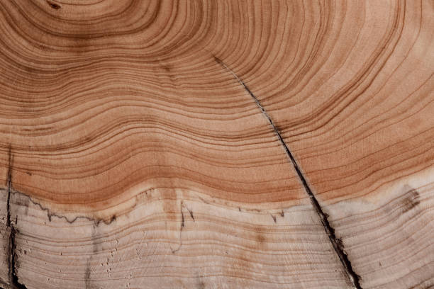 istock A fragment of abstract panel desk. 1477886219