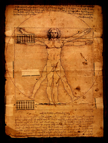 Anatomy art by Leonardo Da Vinci from 1492