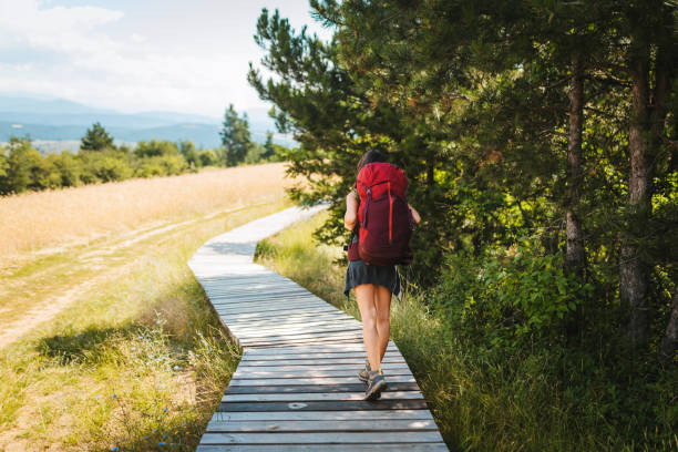 perseguição ao ar livre. mulher nova com uma mochila na natureza. - european alps women summer outdoor pursuit - fotografias e filmes do acervo