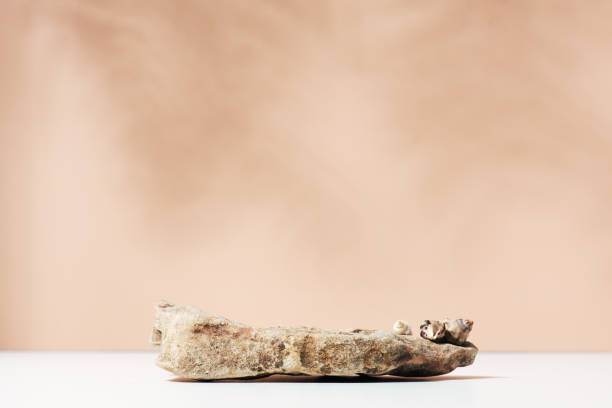 istock Natural background with stone, podium for cosmetics or food presentation 1477889580