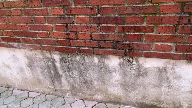 Wet foundation of the building