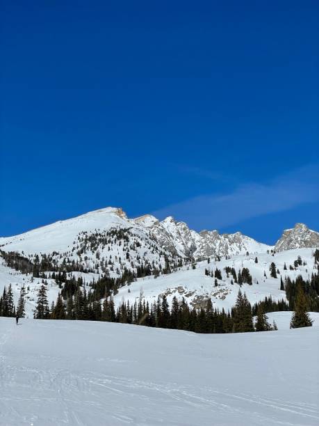 istock Winter in the Sawtooth Mountains 1477890442