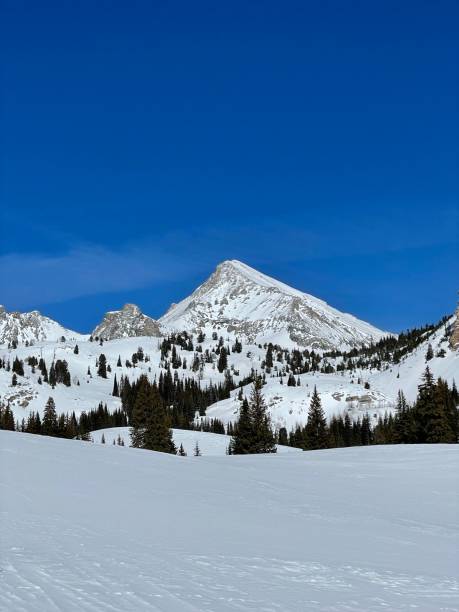 istock Winter in the Sawtooth Mountains 1477890647