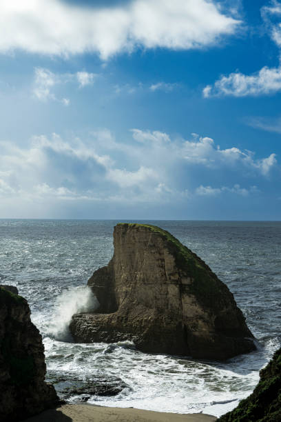 istock High Angle View of Shark Fin Cove 1477891264