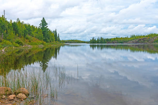 istock Calm Waters on a Wilderness Lake 1477892783