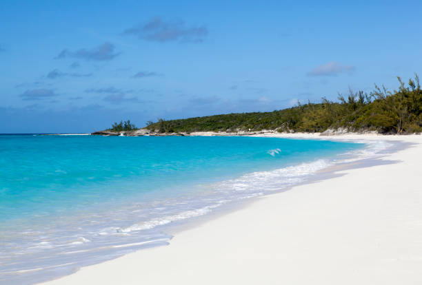 istock Half Moon Cay Uninhabited Island Sandy Beach 1477893069