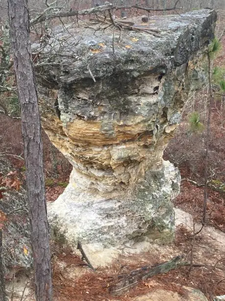 Rock Formation near Columbia, SC