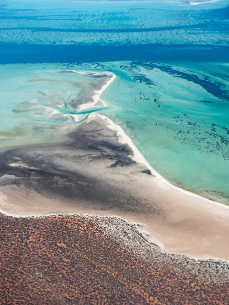 istock Aerial view of coastline 1477901281