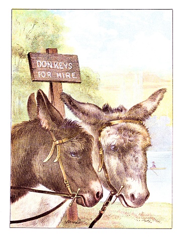 Two donkey heads and a sign 