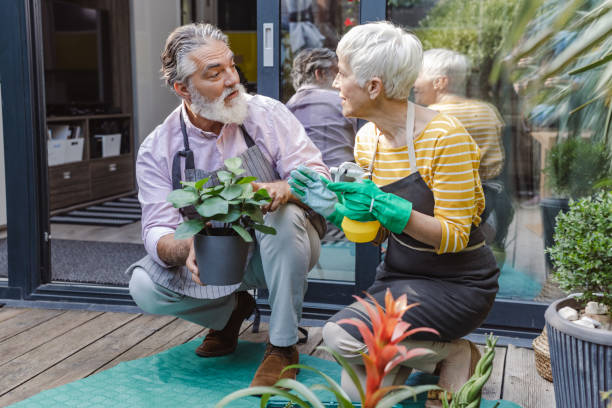 ガーデニングや家で植物の世話を楽しむ老夫婦 - senior adult couple care spring ストックフォトと画像