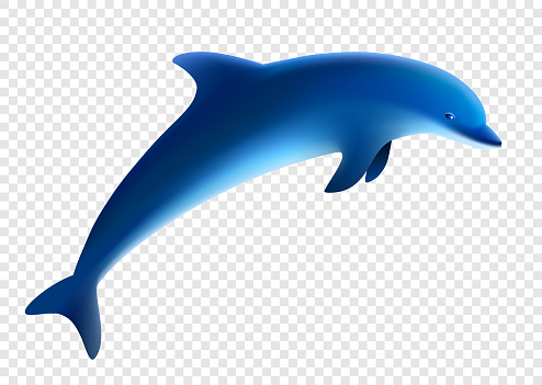 Blue dolphin jumps. Vector illustration.  Jumping dolphin play, transparent background.
