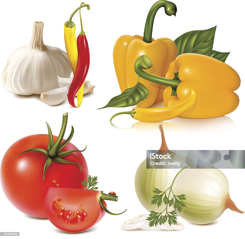 Vector set of vegetables Vector set of vegetables: garlic, chili peppers, bell-peppers, tomatoes and onions Bell Pepper stock vector