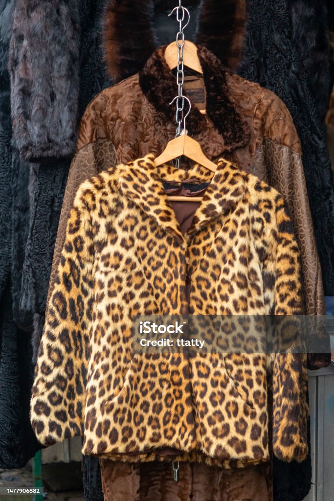 Abrigo De Piel Con Estampado De Leopardo Foto de stock más banco de imágenes de Chaqueta - Chaqueta, Patrón de leopardo, Abrigo - iStock