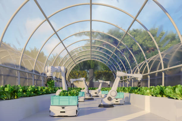 Smart Farming Technology With Robotic Arms Harvesting Vegetables In Automated Greenhouse stock photo