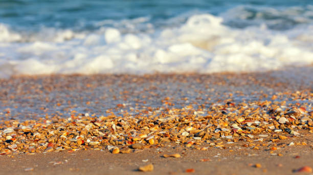 istock vacation on the Mediterranean coast in israel 1477918710