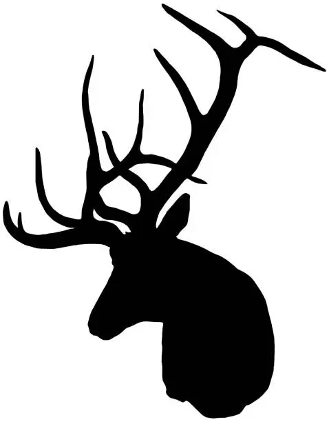 Vector illustration of Buck deer head with large antlers
