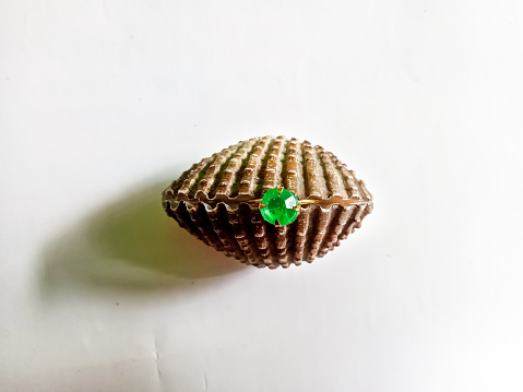 photo of green stone in seashell. selective focus