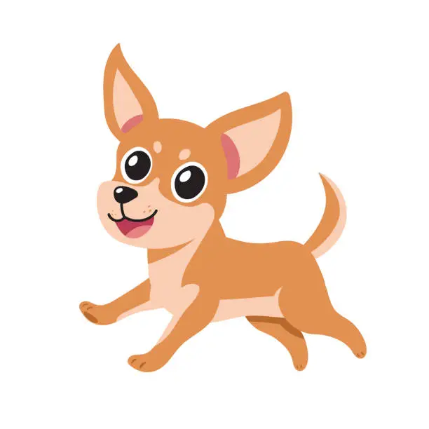 Vector illustration of Vector cartoon character running chihuahua dog