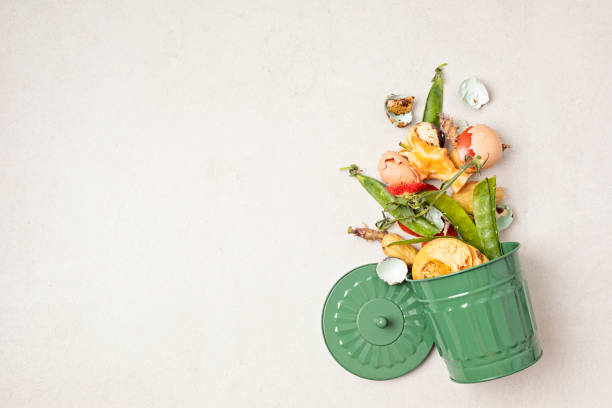 istock Green compost bin and kitchen leftovers. Recycling scarps, sustainable and zero waste lifestyle concept. Fruits and vegetable garbage waste turning into organic fertilizerd soil. Top view, flatlay 1477940767