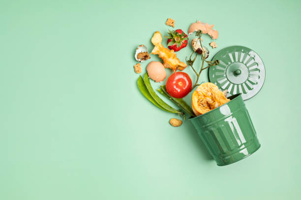 istock Green compost bin and kitchen leftovers. Recycling scarps, sustainable and zero waste lifestyle concept. Fruits and vegetable garbage waste turning into organic fertilizerd soil. Top view, flatlay 1477940804