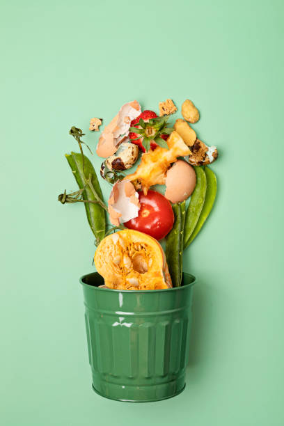 Green compost bin and kitchen leftovers. Recycling scarps, sustainable and zero waste lifestyle concept. Fruits and vegetable garbage waste turning into organic fertilizerd soil. Top view, flatlay