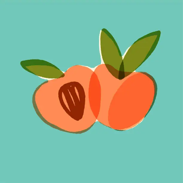 Vector illustration of Cute retro-style poster, card, or banner with a pair of fresh peaches on turquoise background with misprint effect. Vintage-style minimalistic fruit vector isolated illustration.