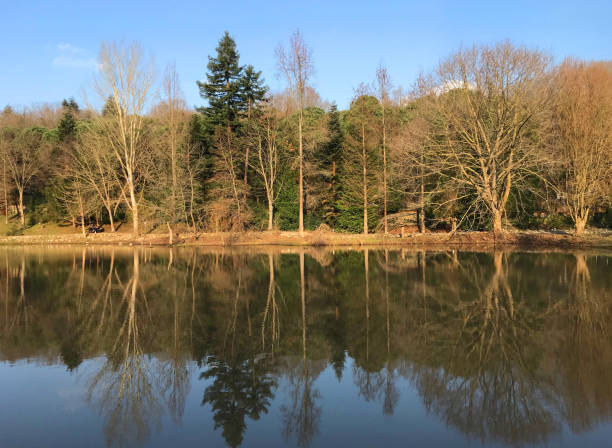 istock Ataturk Arboretum view 1477944420