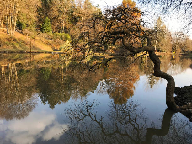 istock Ataturk Arboretum view 1477944690