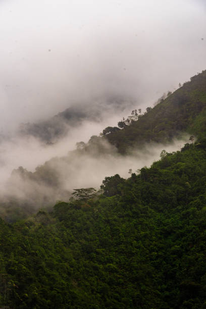 istock Fog in the mountains Andes Colombia 1477946257