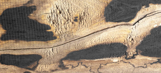 istock old wood background nature brown 1477946924