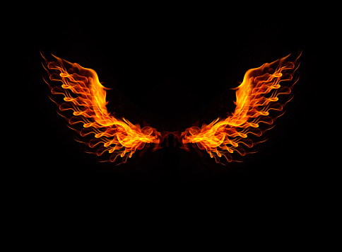fire Burning wings birds isolated on black background.