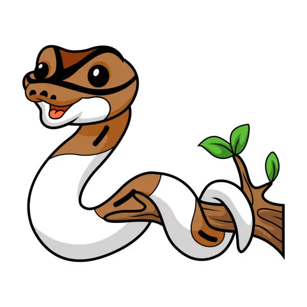 Vector illustration of Cute pied ball python cartoon on tree branch