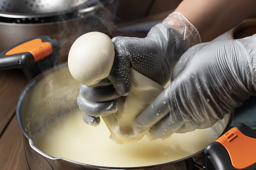 Making mozzarella cheese. Forming balls from cheese curd.